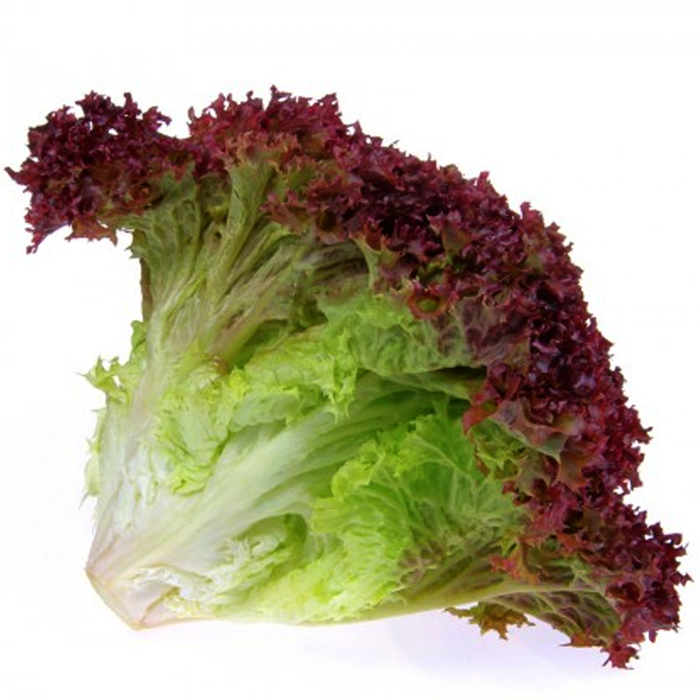 Lollo Rosso Salad per 0.5kg