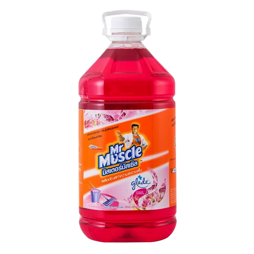 Mr Muscle Floral Perfaction ScentFloor Cleaner Size 5.2L