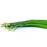 Onion Flower per bundle 100g-200g