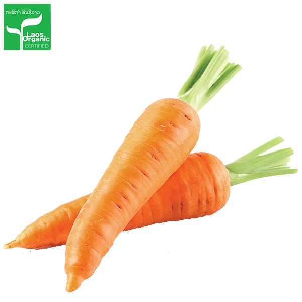 Organic Carrots per 500g