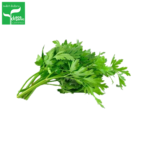 Organic Local Celery (per bundle)