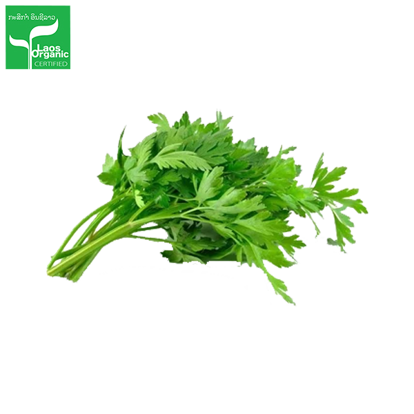 Organic Local Celery (per bundle)