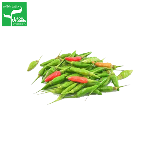 Organic Chili Mini 500g