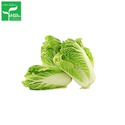 A fresh head of organic Chinese cabbage with the leaves tightly wrapped around the stem, against a white background with a green organic logo in the top right corner.