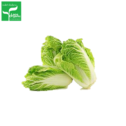 Organic Chinese Cabbage per 500g