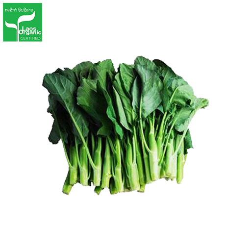 Organic Chinese Kale 500g