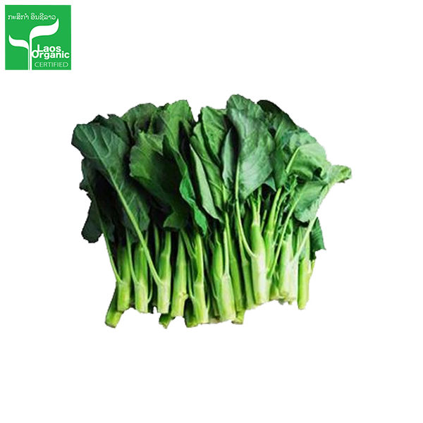 Organic Chinese Kale 500g