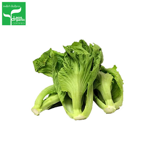 Organic Chinese Mustard Greens  per 500g