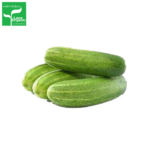 Organic Cucumber per 1kg