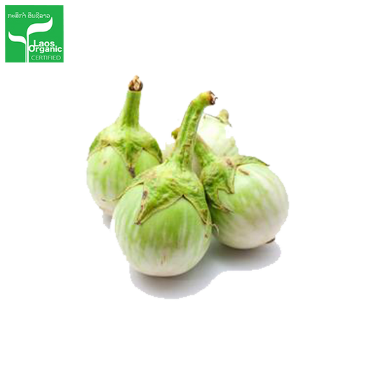 Organic Round Eggplant 0.5kg