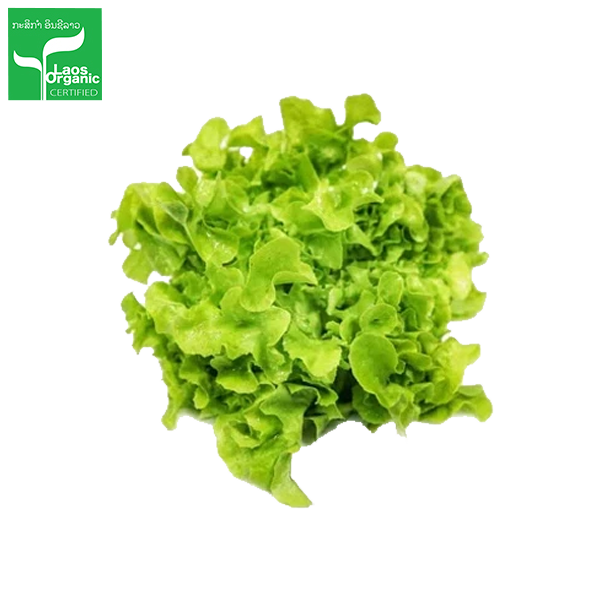 Organic Green Oak Salad per 0.5kg