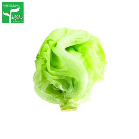Organic Iceberg Salad per 0.5kg