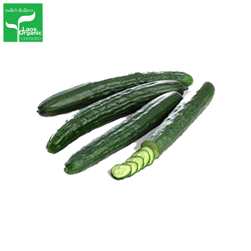 Organic Japanese Cucumber per 0.5kg