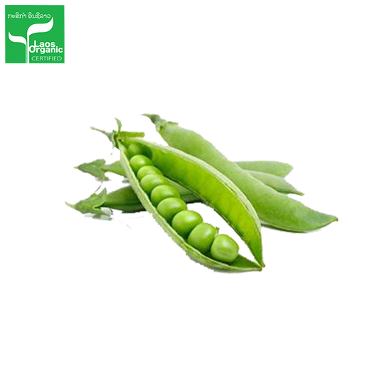 Organic Snap Beans 0.5kg
