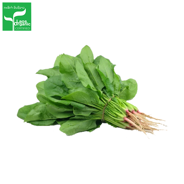 Organic Spinach per 0.5kg
