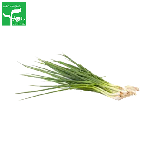 Organic Spring Onions (per bundle)