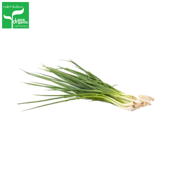 Organic Spring Onions (per bundle)