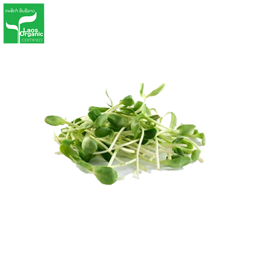Organic Sunflower Sprouts per 350g bag