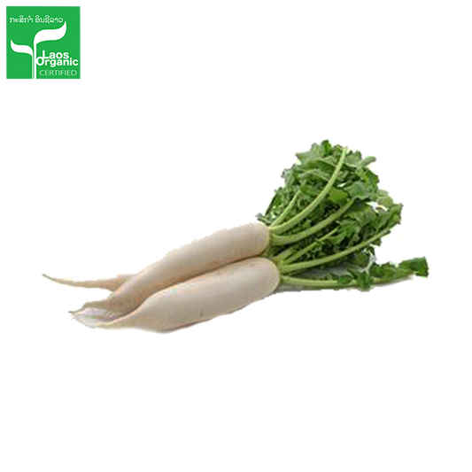 Organic White Radish per 0.5kg