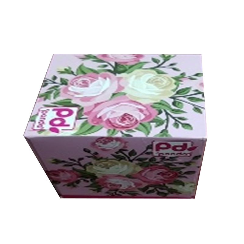 Panda H5 Box of 80pcs