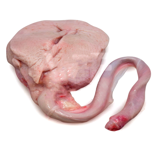 Pork Penis per kg