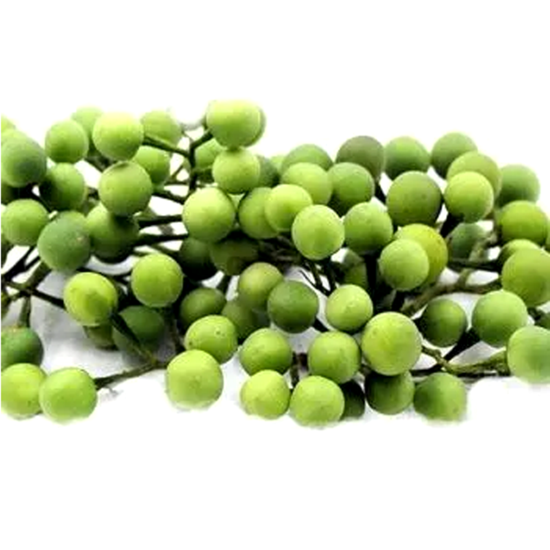 Solanum per bundle