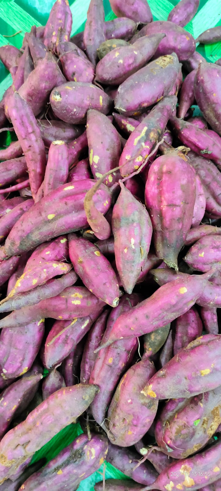 Organic Japanese Sweet Potato from Paksong
