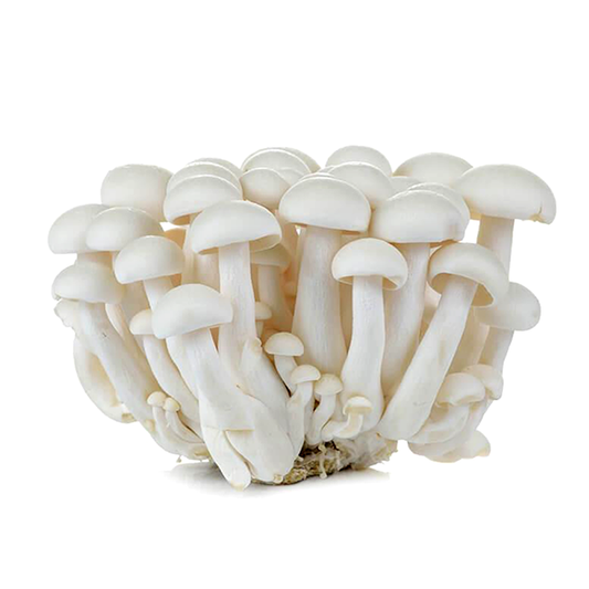 A pack of fresh white shimeji mushrooms.